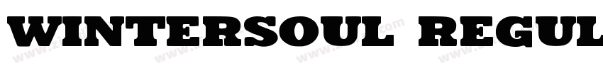 Wintersoul Regular字体转换